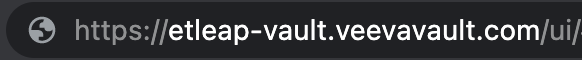 vault-domain-name.png